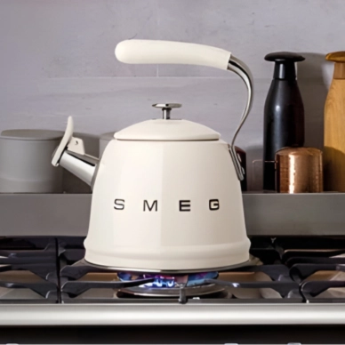 Чайники для плит